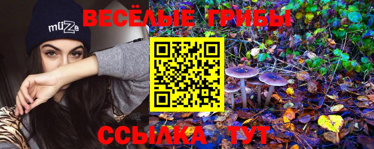Псилоцибиновые грибы Psilocybe  Вход с VPN  Октябрьский 