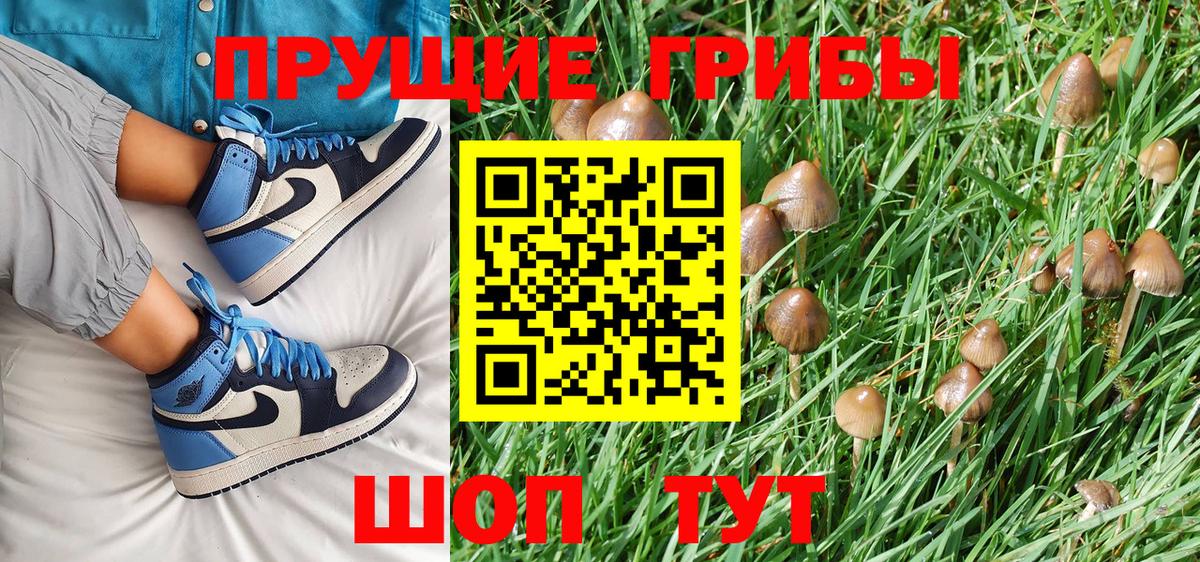 Псилоцибиновые грибы Magic Shrooms Октябрьский